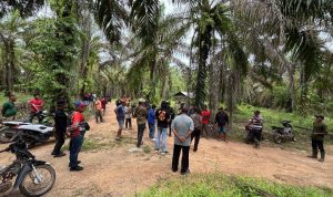 IMG-20251127-WA0113(1)