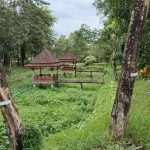 IMG-20260119-WA0120(1)