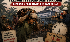 Exploitation on the palm oil plantation